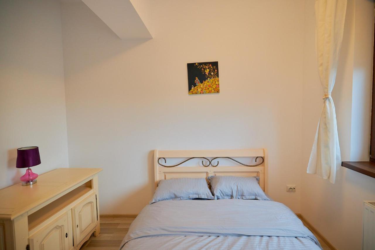 Cozy 3 Bedroom Apartments In Centre Of Iasi Palas Mall Εξωτερικό φωτογραφία